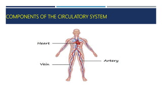 COMPONENTS OF THE CIRCULATORY SYSTEM
 