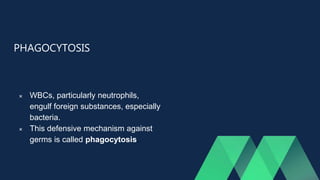 PHAGOCYTOSIS
 WBCs, particularly neutrophils,
engulf foreign substances, especially
bacteria.
 This defensive mechanism against
germs is called phagocytosis.
 