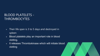 BLOOD PLATELETS -
THROMBOCYTES
 Their life span is 3 to 5 days and destroyed in
spleen
 Blood platelets play an important role in blood
clotting.
 It releases Thrombokinase which will initiate blood
clotting
 