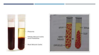 BLOOD CLOTTING IN A TEST
TUBE
 