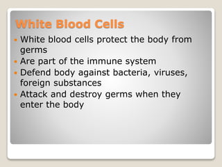 The Circulatory System.pptx