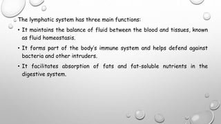 The lymphatic system has three main functions:
• It maintains the balance of fluid between the blood and tissues, known
as fluid homeostasis.
• It forms part of the body’s immune system and helps defend against
bacteria and other intruders.
• It facilitates absorption of fats and fat-soluble nutrients in the
digestive system.
 