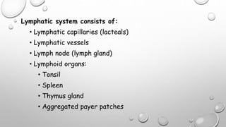 Lymphatic system consists of:
• Lymphatic capillaries (lacteals)
• Lymphatic vessels
• Lymph node (lymph gland)
• Lymphoid organs:
• Tonsil
• Spleen
• Thymus gland
• Aggregated payer patches
 