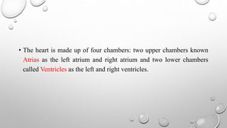 • The heart is made up of four chambers: two upper chambers known
Atrias as the left atrium and right atrium and two lower chambers
called Ventricles as the left and right ventricles.
 