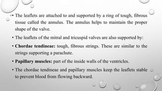 • The leaflets are attached to and supported by a ring of tough, fibrous
tissue called the annulus. The annulus helps to maintain the proper
shape of the valve.
• The leaflets of the mitral and tricuspid valves are also supported by:
• Chordae tendineae: tough, fibrous strings. These are similar to the
strings supporting a parachute.
• Papillary muscles: part of the inside walls of the ventricles.
• The chordae tendineae and papillary muscles keep the leaflets stable
to prevent blood from flowing backward.
 