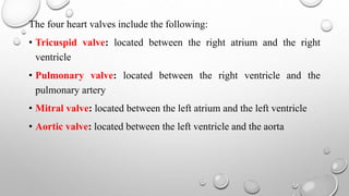 The four heart valves include the following:
• Tricuspid valve: located between the right atrium and the right
ventricle
• Pulmonary valve: located between the right ventricle and the
pulmonary artery
• Mitral valve: located between the left atrium and the left ventricle
• Aortic valve: located between the left ventricle and the aorta
 