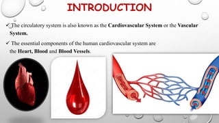 INTRODUCTION
 The circulatory system is also known as the Cardiovascular System or the Vascular
System.
 The essential components of the human cardiovascular system are
the Heart, Blood and Blood Vessels.
 