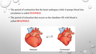 • The period of contraction that the heart undergoes while it pumps blood into
circulation is called SYSTOLE.
• The period of relaxation that occurs as the chambers fill with blood is
called DIASTOLE.
 
