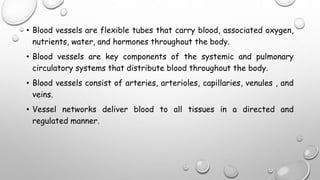 • Blood vessels are flexible tubes that carry blood, associated oxygen,
nutrients, water, and hormones throughout the body.
• Blood vessels are key components of the systemic and pulmonary
circulatory systems that distribute blood throughout the body.
• Blood vessels consist of arteries, arterioles, capillaries, venules , and
veins.
• Vessel networks deliver blood to all tissues in a directed and
regulated manner.
 