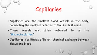 Capillaries
• Capillaries are the smallest blood vessels in the body,
connecting the smallest arteries to the smallest veins.
• These vessels are often referred to as the
"Microcirculation.“
• Capillaries facilitates efficient chemical exchange between
tissue and blood
 