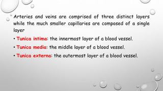 Arteries and veins are comprised of three distinct layers
while the much smaller capillaries are composed of a single
layer
• Tunica intima: the innermost layer of a blood vessel.
• Tunica media: the middle layer of a blood vessel.
• Tunica externa: the outermost layer of a blood vessel.
 