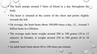 • The heart pumps around 5 litres of blood in a day throughout the
body.
• The heart is situated at the centre of the chest and points slightly
towards the left.
• On average, the heart beats about 100,000 times a day, i.E., Around 3
billion beats in a lifetime.
• The average male heart weighs around 280 to 340 grams (10 to 12
ounces). In females, it weighs around 230 to 280 grams (8 to 10
ounces).
• An adult heart beats about 60 to 100 times per minute.
 