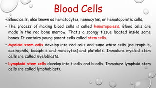 Blood Cells
• Blood cells, also known as hematocytes, hemocytes, or hematopoietic cells.
• The process of making blood cells is called hematopoiesis. Blood cells are
made in the red bone marrow. That's a spongy tissue located inside some
bones. It contains young parent cells called stem cells.
• Myeloid stem cells develop into red cells and some white cells (neutrophils,
eosinophils, basophils and monocytes) and platelets. Immature myeloid stem
cells are called myeloblasts.
• Lymphoid stem cells develop into t-cells and b-cells. Immature lymphoid stem
cells are called lymphoblasts.
 