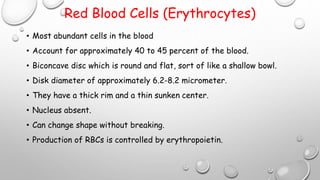 Red Blood Cells (Erythrocytes)
• Most abundant cells in the blood
• Account for approximately 40 to 45 percent of the blood.
• Biconcave disc which is round and flat, sort of like a shallow bowl.
• Disk diameter of approximately 6.2-8.2 micrometer.
• They have a thick rim and a thin sunken center.
• Nucleus absent.
• Can change shape without breaking.
• Production of RBCs is controlled by erythropoietin.
 