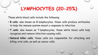 LYMPHOCYTES (20-25%)
These white blood cells include the following:
• B cells: also known as B-lymphocytes, these cells produce antibodies
to help the immune system mount a response to infection.
• T cells: also known as T-lymphocytes, these white blood cells help
recognize and remove infection-causing cells.
• Natural killer cells: these cells are responsible for attacking and
killing viral cells, as well as cancer cells.
 