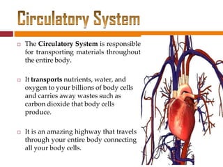 thecirculatorysystem-.pptx