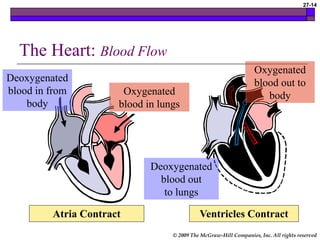 © 2009 The McGraw-Hill Companies, Inc. All rights reserved
27-14
The Heart: Blood Flow
Deoxygenated
blood in from
body
Oxygenated
blood in lungs
Atria Contract Ventricles Contract
Deoxygenated
blood out
to lungs
Oxygenated
blood out to
body
 