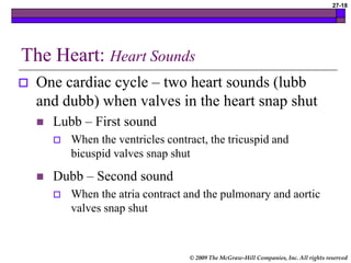 © 2009 The McGraw-Hill Companies, Inc. All rights reserved
27-18
The Heart: Heart Sounds
 One cardiac cycle – two heart sounds (lubb
and dubb) when valves in the heart snap shut
 Lubb – First sound
 When the ventricles contract, the tricuspid and
bicuspid valves snap shut
 Dubb – Second sound
 When the atria contract and the pulmonary and aortic
valves snap shut
 