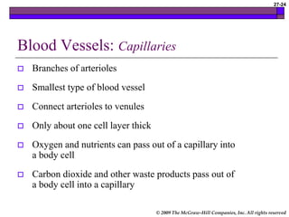 © 2009 The McGraw-Hill Companies, Inc. All rights reserved
27-24
Blood Vessels: Capillaries
 Branches of arterioles
 Smallest type of blood vessel
 Connect arterioles to venules
 Only about one cell layer thick
 Oxygen and nutrients can pass out of a capillary into
a body cell
 Carbon dioxide and other waste products pass out of
a body cell into a capillary
 