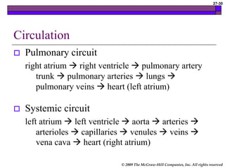 © 2009 The McGraw-Hill Companies, Inc. All rights reserved
27-30
Circulation
 Pulmonary circuit
right atrium  right ventricle  pulmonary artery
trunk  pulmonary arteries  lungs 
pulmonary veins  heart (left atrium)
 Systemic circuit
left atrium  left ventricle  aorta  arteries 
arterioles  capillaries  venules  veins 
vena cava  heart (right atrium)
 