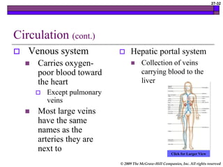 © 2009 The McGraw-Hill Companies, Inc. All rights reserved
27-32
Circulation (cont.)
 Venous system
 Carries oxygen-
poor blood toward
the heart
 Except pulmonary
veins
 Most large veins
have the same
names as the
arteries they are
next to
 Hepatic portal system
 Collection of veins
carrying blood to the
liver
Click for Larger View
 