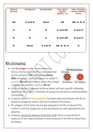 Body Fluids And Circulation Class 11th | PDF