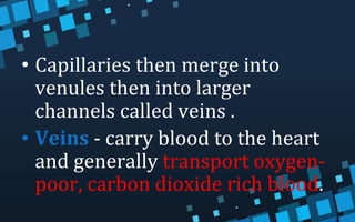 • Capillaries then merge into
venules then into larger
channels called veins .
• Veins - carry blood to the heart
and generally transport oxygen-
poor, carbon dioxide rich blood.
 