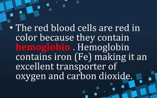 • The red blood cells are red in
color because they contain
hemoglobin . Hemoglobin
contains iron (Fe) making it an
excellent transporter of
oxygen and carbon dioxide.
 
