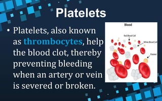 Platelets
• Platelets, also known
as thrombocytes, help
the blood clot, thereby
preventing bleeding
when an artery or vein
is severed or broken.
 