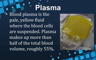 Plasma
• Blood plasma is the
pale, yellow fluid
where the blood cells
are suspended. Plasma
makes up more than
half of the total blood
volume, roughly 55%.
 