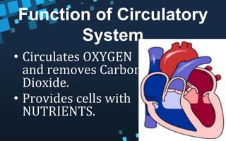 Function of Circulatory
System
• Circulates OXYGEN
and removes Carbon
Dioxide.
• Provides cells with
NUTRIENTS.
 