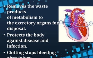 • Removes the waste
products
of metabolism to
the excretory organs for
disposal.
• Protects the body
against disease and
infection.
• Clotting stops bleeding
 
