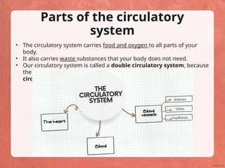 The Circulatory System, blood, blood vessels | PPTX