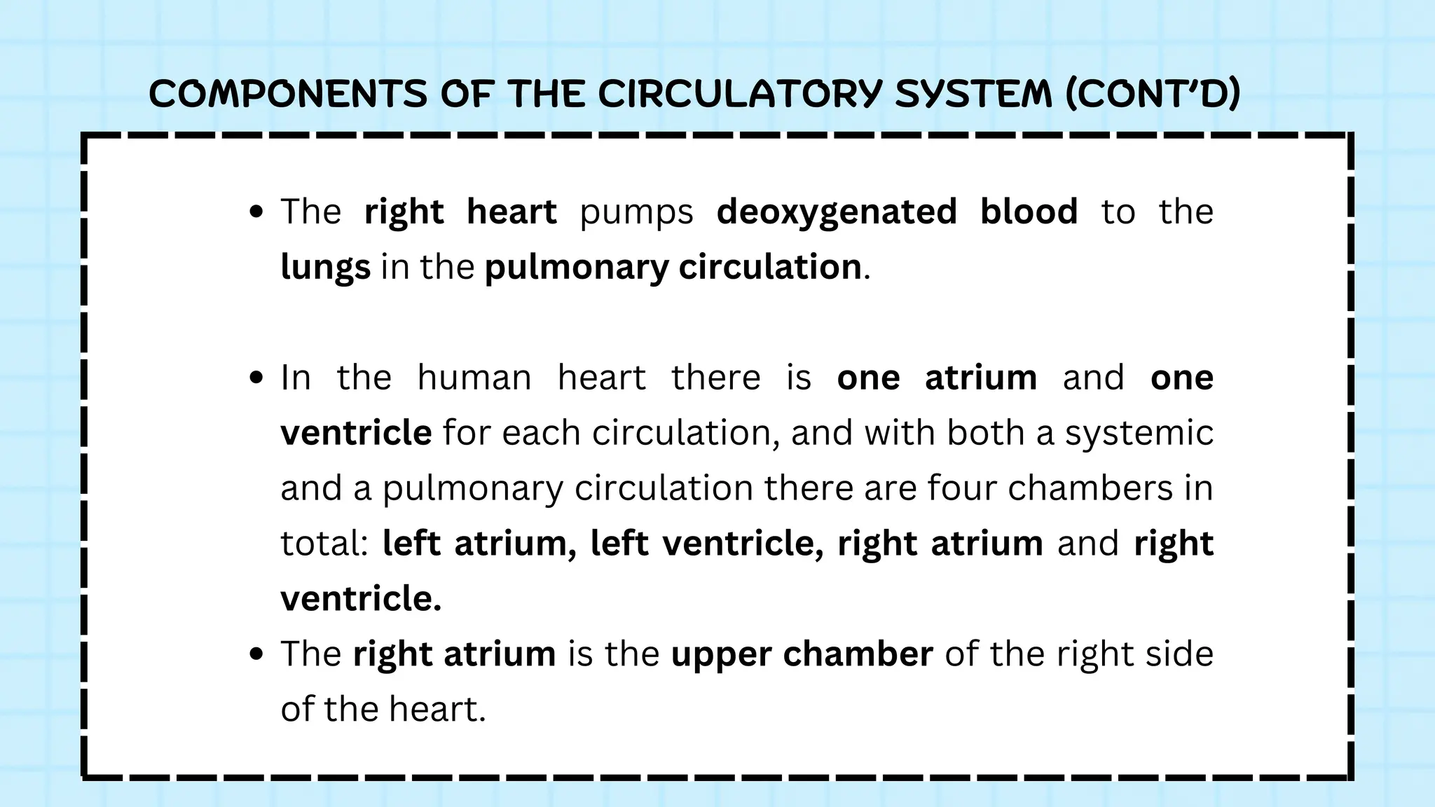 COMPONENTS OF THE CIRCULATORY SYSTEM (CONT’D)
The right heart pumps deoxygenated blood to the
lungs in the pulmonary circulation.
In the human heart there is one atrium and one
ventricle for each circulation, and with both a systemic
and a pulmonary circulation there are four chambers in
total: left atrium, left ventricle, right atrium and right
ventricle.
The right atrium is the upper chamber of the right side
of the heart.
 