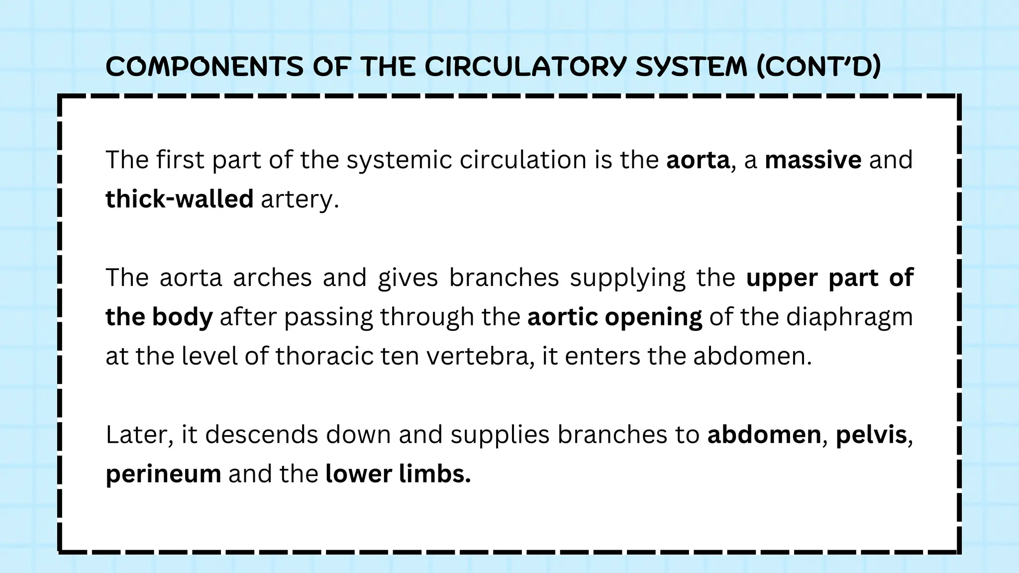COMPONENTS OF THE CIRCULATORY SYSTEM (CONT’D)
The first part of the systemic circulation is the aorta, a massive and
thick-walled artery.
The aorta arches and gives branches supplying the upper part of
the body after passing through the aortic opening of the diaphragm
at the level of thoracic ten vertebra, it enters the abdomen.
Later, it descends down and supplies branches to abdomen, pelvis,
perineum and the lower limbs.
 