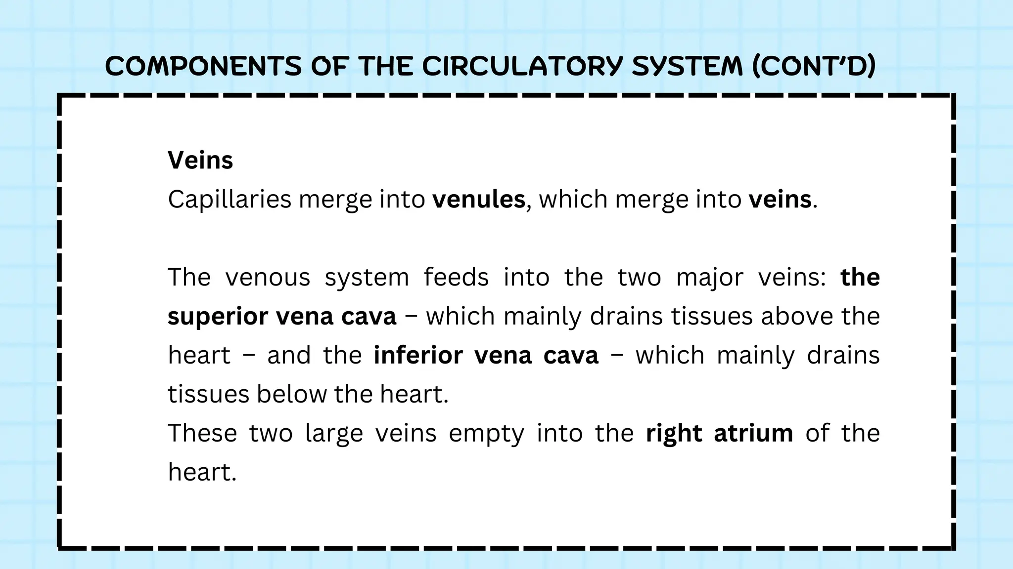 COMPONENTS OF THE CIRCULATORY SYSTEM (CONT’D)
Veins
Capillaries merge into venules, which merge into veins.
The venous system feeds into the two major veins: the
superior vena cava – which mainly drains tissues above the
heart – and the inferior vena cava – which mainly drains
tissues below the heart.
These two large veins empty into the right atrium of the
heart.
 