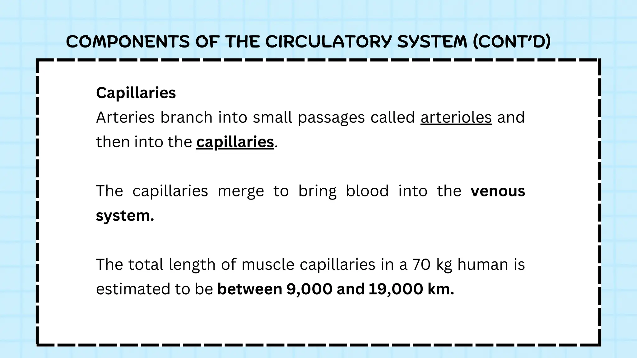 COMPONENTS OF THE CIRCULATORY SYSTEM (CONT’D)
Capillaries
Arteries branch into small passages called arterioles and
then into the capillaries.
The capillaries merge to bring blood into the venous
system.
The total length of muscle capillaries in a 70 kg human is
estimated to be between 9,000 and 19,000 km.
 