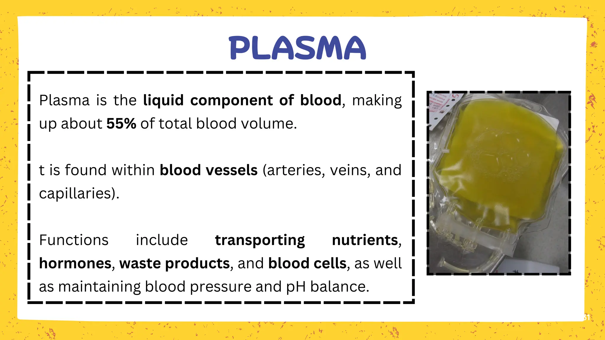 Plasma is the liquid component of blood, making
up about 55% of total blood volume.
t is found within blood vessels (arteries, veins, and
capillaries).
Functions include transporting nutrients,
hormones, waste products, and blood cells, as well
as maintaining blood pressure and pH balance.
31
PLASMA
 