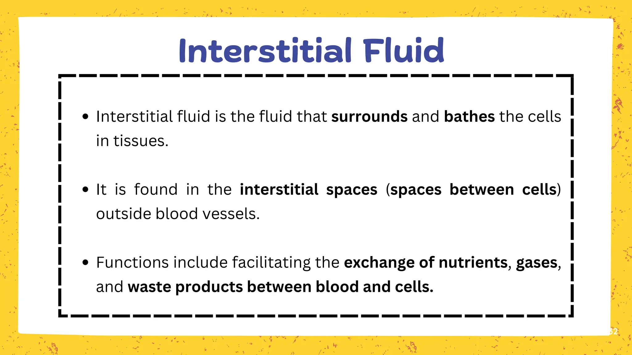32
Interstitial fluid is the fluid that surrounds and bathes the cells
in tissues.
It is found in the interstitial spaces (spaces between cells)
outside blood vessels.
Functions include facilitating the exchange of nutrients, gases,
and waste products between blood and cells.
Interstitial Fluid
 