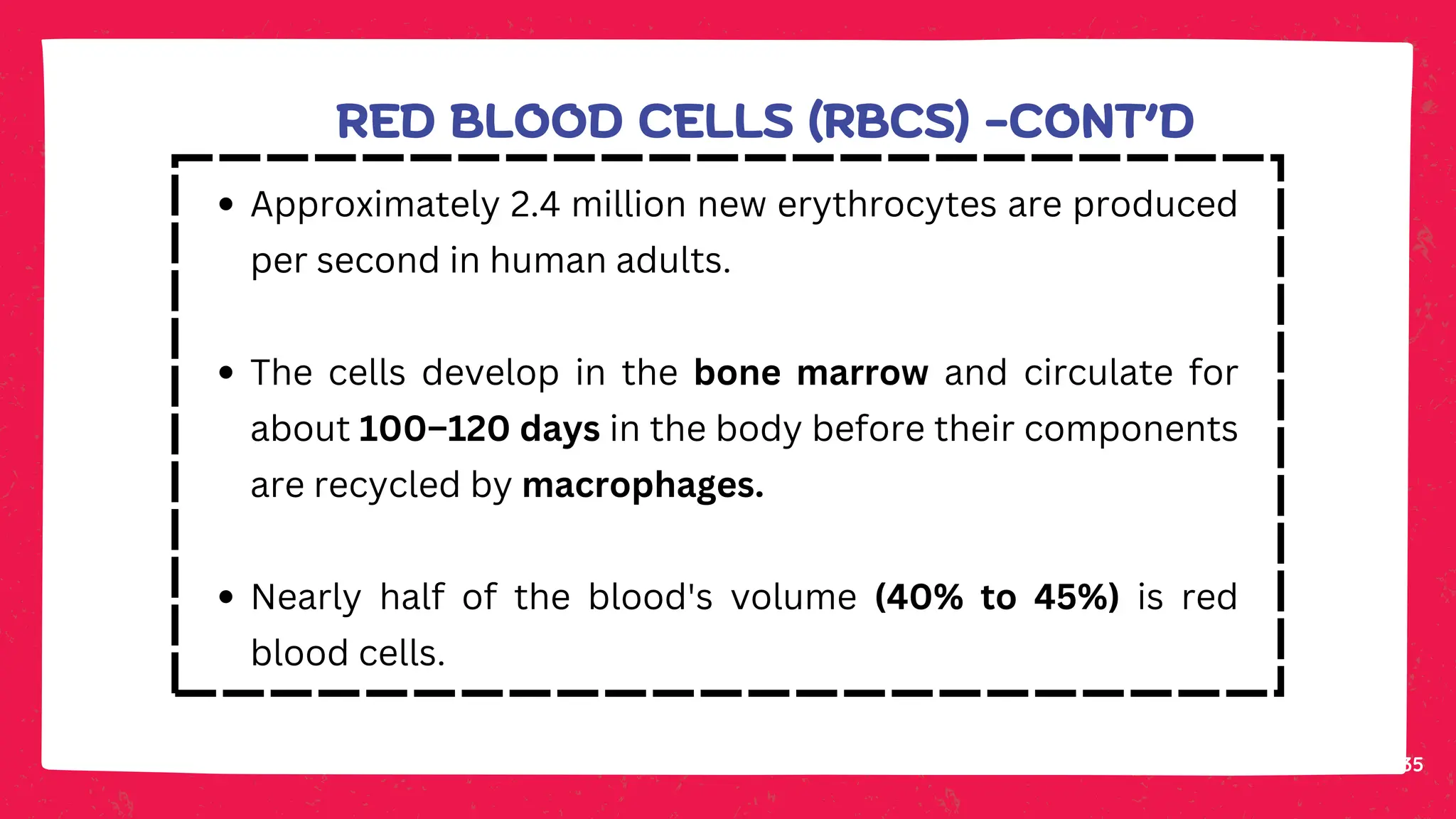 35
Approximately 2.4 million new erythrocytes are produced
per second in human adults.
The cells develop in the bone marrow and circulate for
about 100–120 days in the body before their components
are recycled by macrophages.
Nearly half of the blood's volume (40% to 45%) is red
blood cells.
RED BLOOD CELLS (RBCS) -CONT’D
 