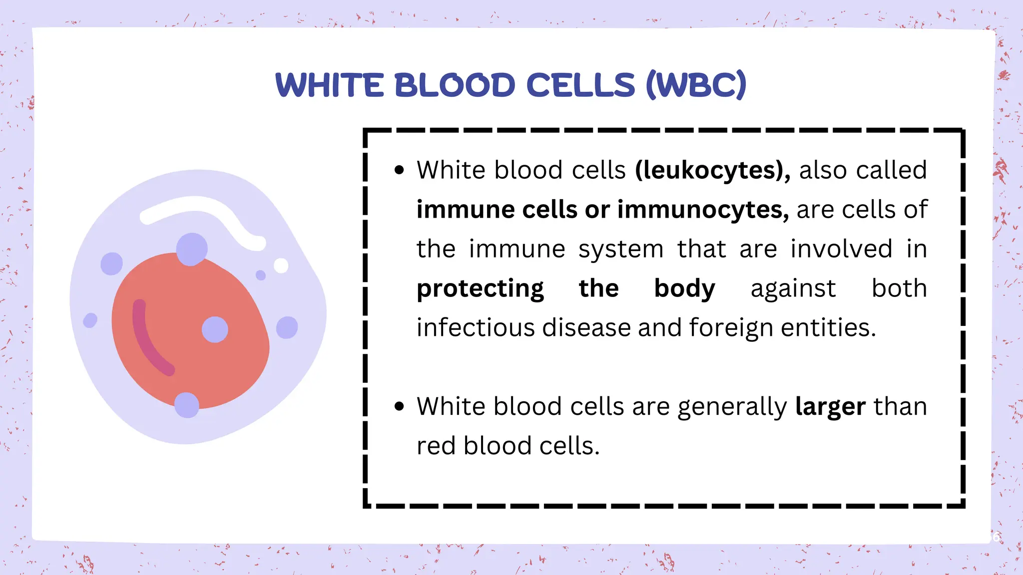 White blood cells (leukocytes), also called
immune cells or immunocytes, are cells of
the immune system that are involved in
protecting the body against both
infectious disease and foreign entities.
White blood cells are generally larger than
red blood cells.
36
WHITE BLOOD CELLS (WBC)
 