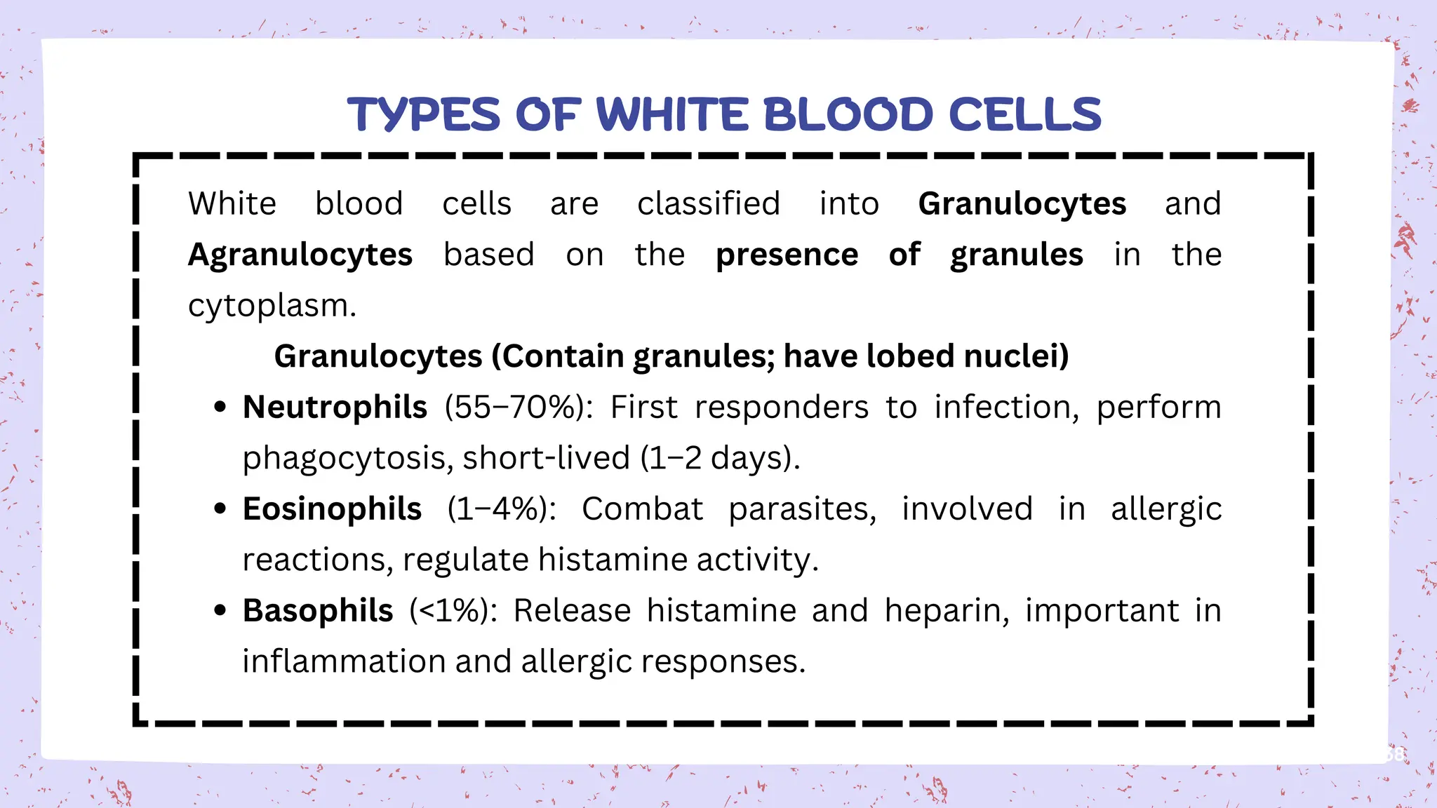 38
White blood cells are classified into Granulocytes and
Agranulocytes based on the presence of granules in the
cytoplasm.
Granulocytes (Contain granules; have lobed nuclei)
Neutrophils (55–70%): First responders to infection, perform
phagocytosis, short-lived (1–2 days).
Eosinophils (1–4%): Combat parasites, involved in allergic
reactions, regulate histamine activity.
Basophils (<1%): Release histamine and heparin, important in
inflammation and allergic responses.
TYPES OF WHITE BLOOD CELLS
 