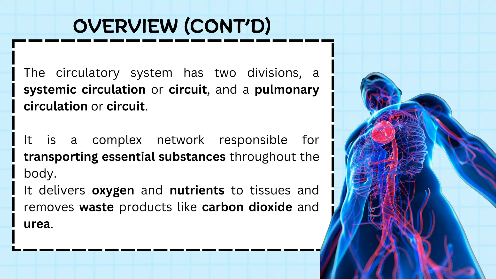 The circulatory system has two divisions, a
systemic circulation or circuit, and a pulmonary
circulation or circuit.
It is a complex network responsible for
transporting essential substances throughout the
body.
It delivers oxygen and nutrients to tissues and
removes waste products like carbon dioxide and
urea.
OVERVIEW (CONT’D)
 