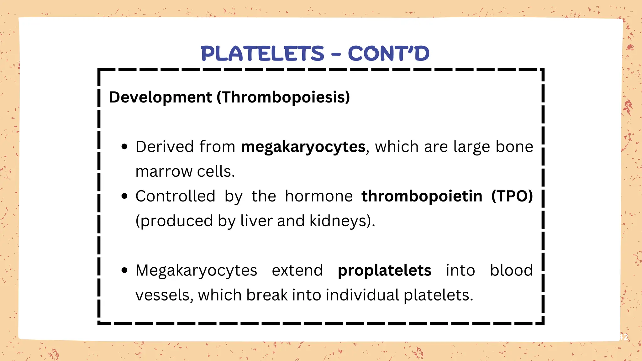 42
PLATELETS - CONT’D
Development (Thrombopoiesis)
Derived from megakaryocytes, which are large bone
marrow cells.
Controlled by the hormone thrombopoietin (TPO)
(produced by liver and kidneys).
Megakaryocytes extend proplatelets into blood
vessels, which break into individual platelets.
 