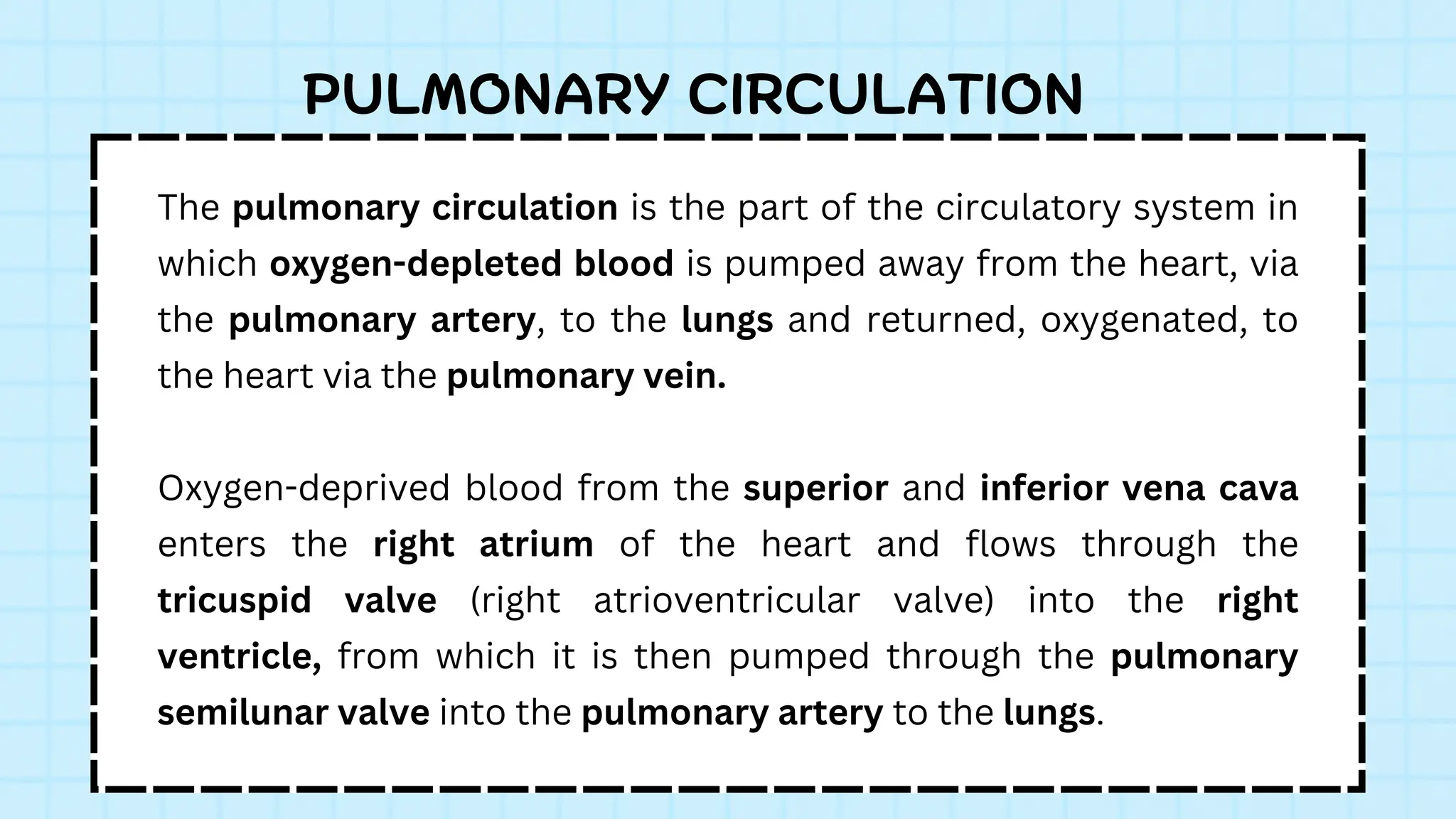The pulmonary circulation is the part of the circulatory system in
which oxygen-depleted blood is pumped away from the heart, via
the pulmonary artery, to the lungs and returned, oxygenated, to
the heart via the pulmonary vein.
Oxygen-deprived blood from the superior and inferior vena cava
enters the right atrium of the heart and flows through the
tricuspid valve (right atrioventricular valve) into the right
ventricle, from which it is then pumped through the pulmonary
semilunar valve into the pulmonary artery to the lungs.
PULMONARY CIRCULATION
 