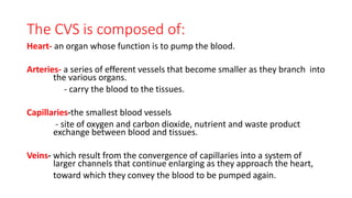Histology of Circulatory system | PPTX