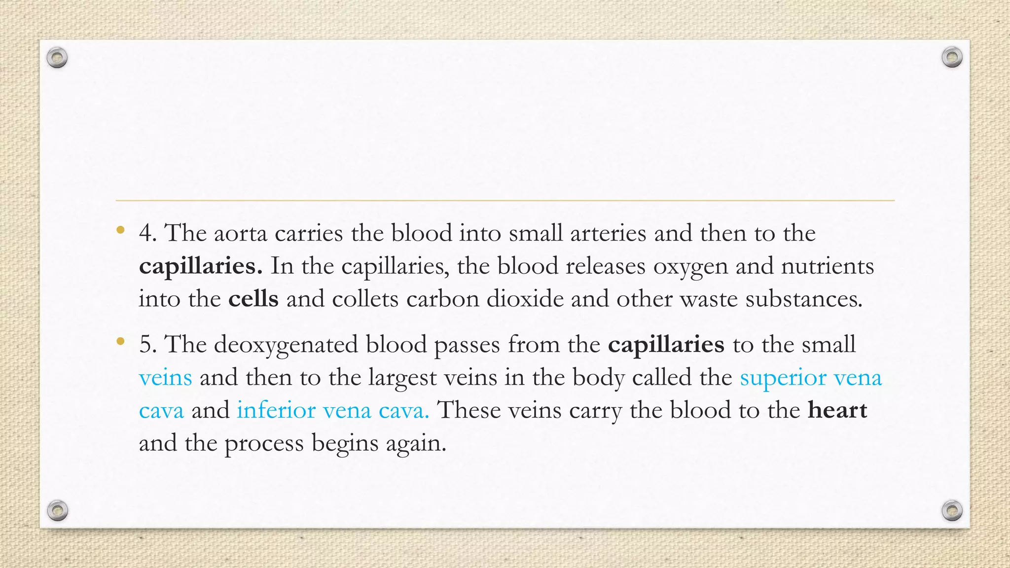 • 4. The aorta carries the blood into small arteries and then to the
capillaries. In the capillaries, the blood releases oxygen and nutrients
into the cells and collets carbon dioxide and other waste substances.
• 5. The deoxygenated blood passes from the capillaries to the small
veins and then to the largest veins in the body called the superior vena
cava and inferior vena cava. These veins carry the blood to the heart
and the process begins again.
 