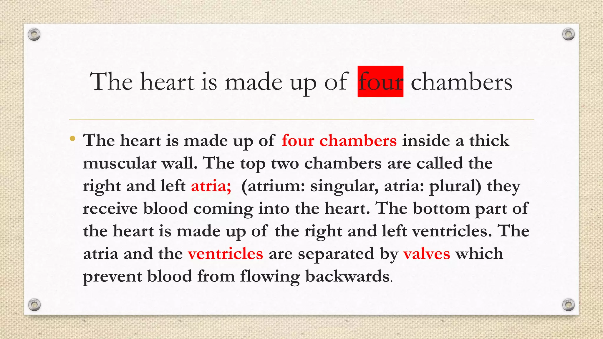 The heart is made up of four chambers
• The heart is made up of four chambers inside a thick
muscular wall. The top two chambers are called the
right and left atria; (atrium: singular, atria: plural) they
receive blood coming into the heart. The bottom part of
the heart is made up of the right and left ventricles. The
atria and the ventricles are separated by valves which
prevent blood from flowing backwards.
 