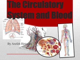 The Circulatory System and Blood By Arefeh Hosseini 