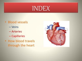INDEX
• Blood vessels
– Veins
– Arteries
– Capillaries
• How blood travels
through the heart
 